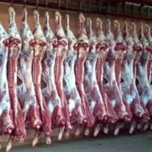 Мясо,  говядина глубокой заморозки,  говяжья тушенка из Украины