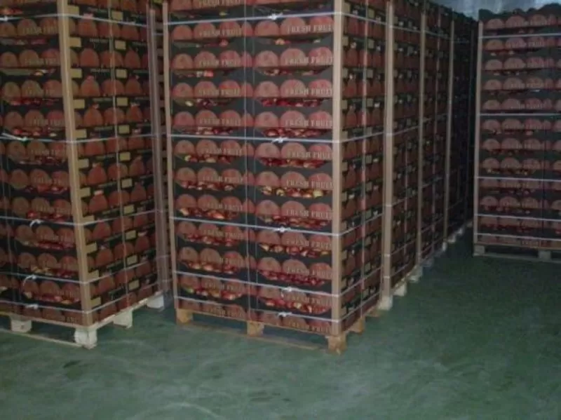 Продам яблоки урожая 2012 года